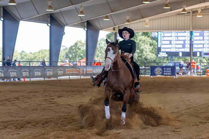 Taylor Banks of Auburn Equestrian